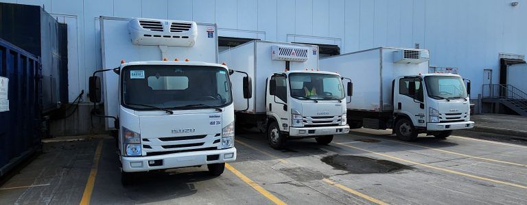 Trois camions frigorifiques blancs sont garés dans des espaces désignés à l'extérieur d'un grand bâtiment industriel. Les camions portent des marquages de marque visibles.